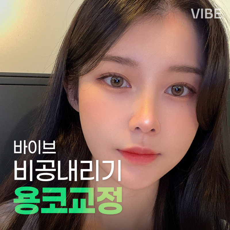 비공내리기 용코교정