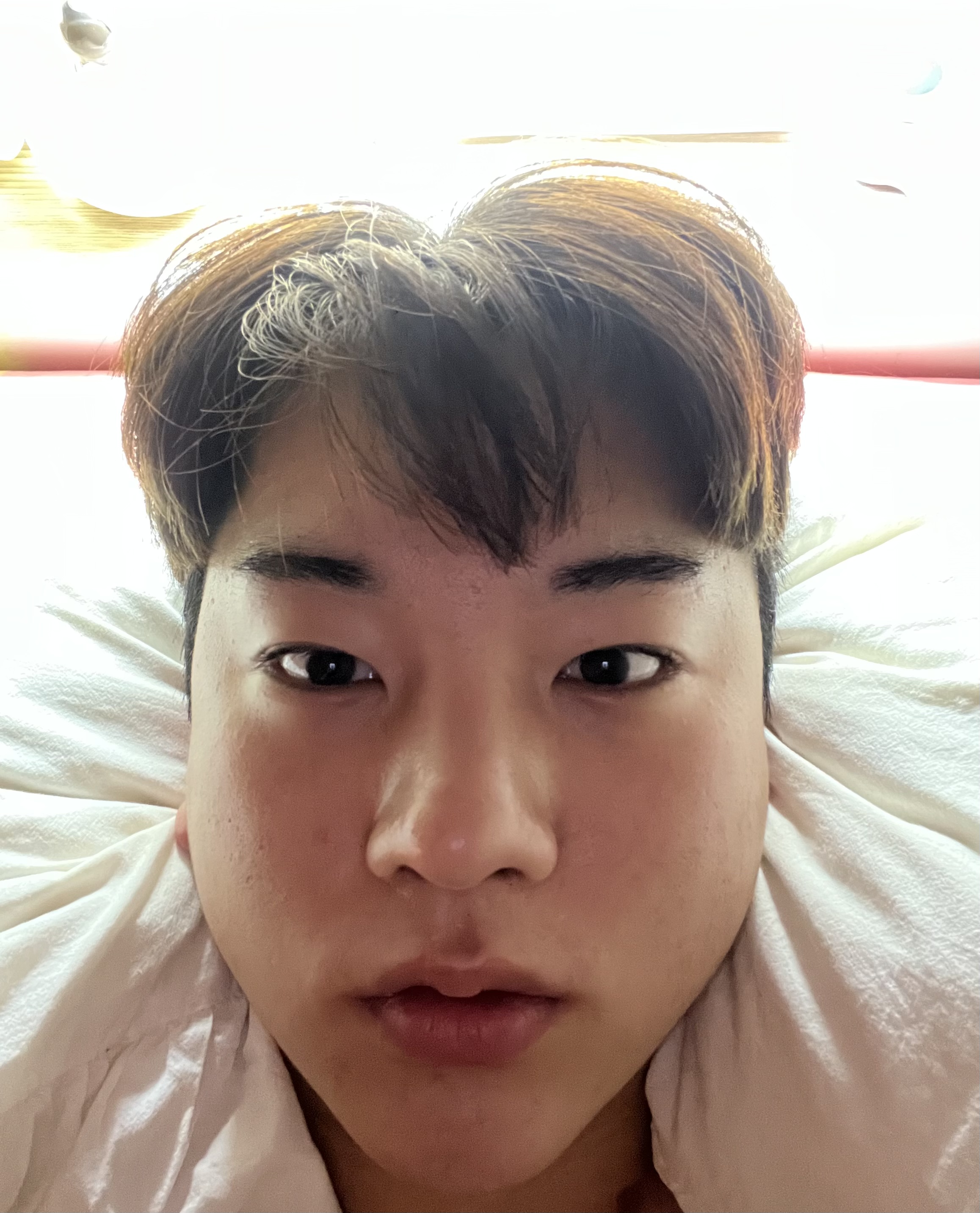 이승기 님의 리얼모델 신청입니다. 접수일 2022-12-27 22:26:54 